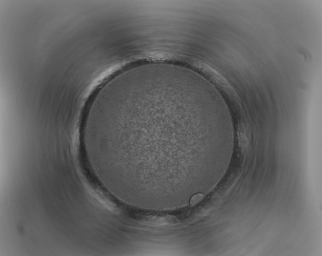 X0000114160488200910151610