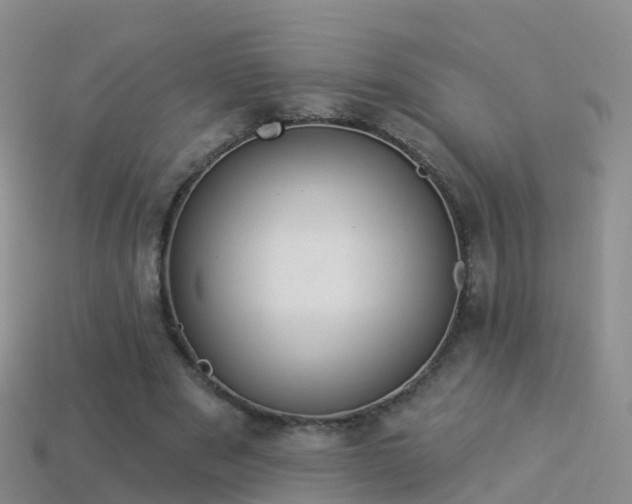 X0000114160489200910151610