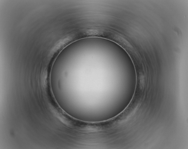 X0000114160490200910151610