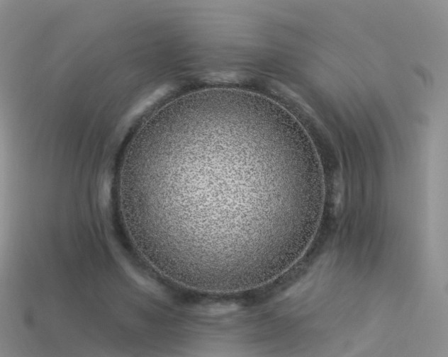 X0000114160491200910151610