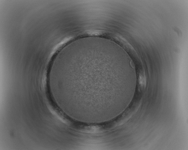 X0000114160492200910151610