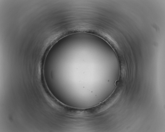 X0000114160493200910151610