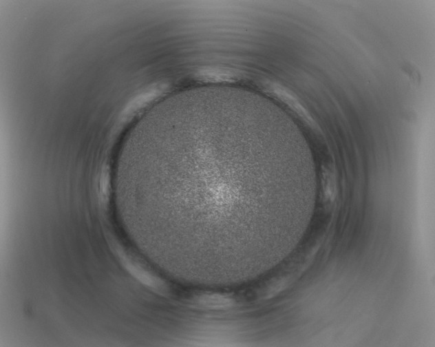 X0000114160494200910151610