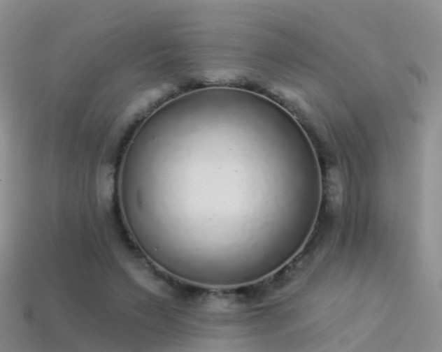 X0000114160495200910151610