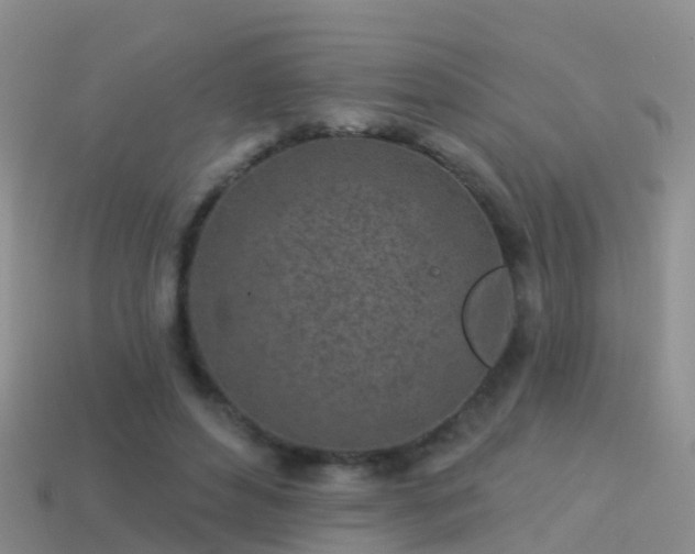 X0000114160496200910151610