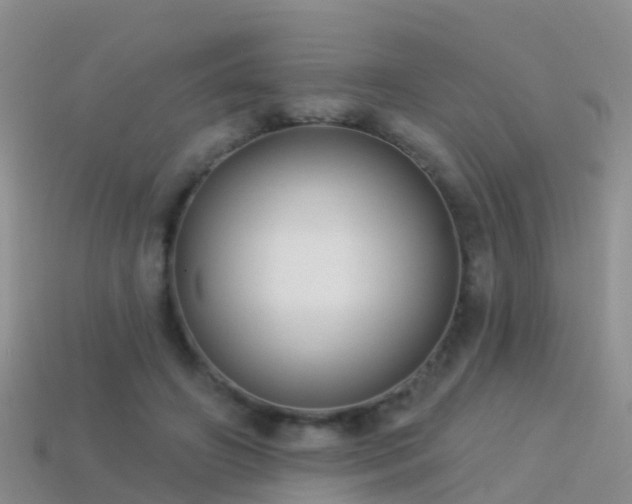 X0000114160498200910151609