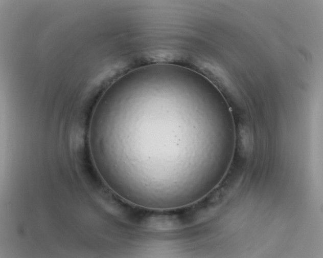 X0000114160499200910151609