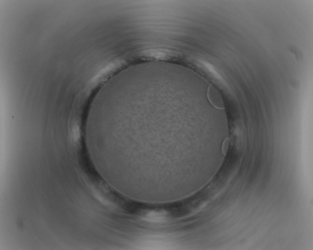 X0000114160500200910151609