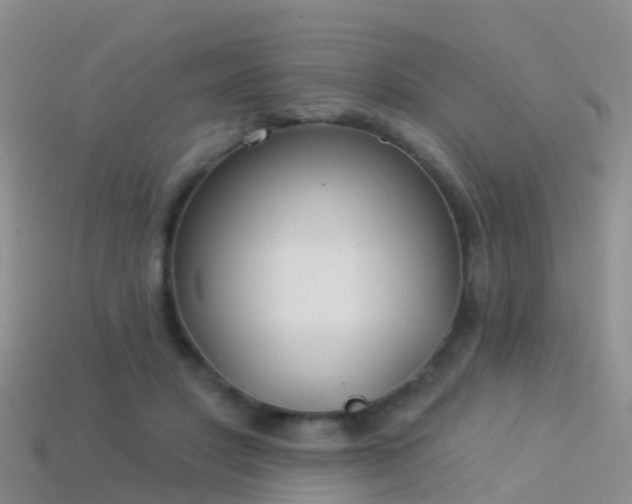 X0000114160501200910151609