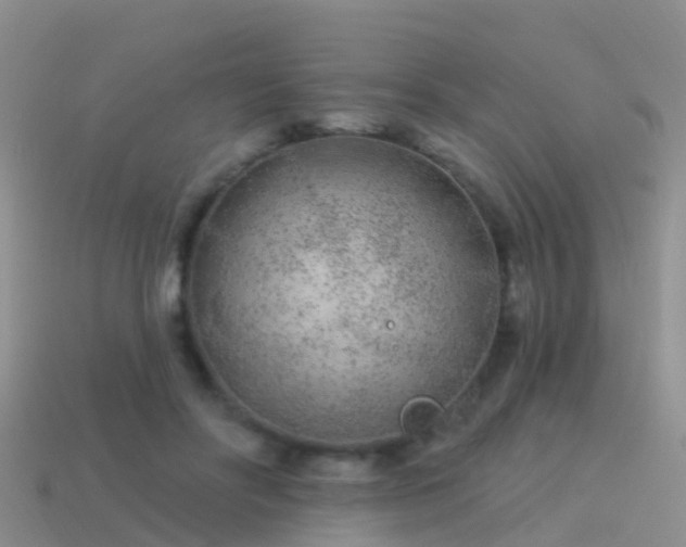 X0000114160502200910151609