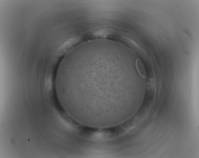 X0000114160504200910151609