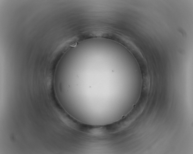 X0000114160505200910151609