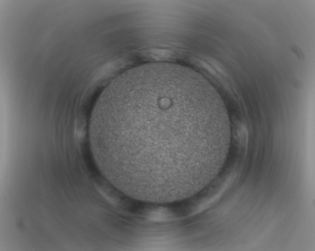 X0000114160507200910151609