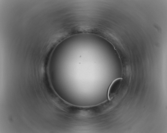 X0000114160508200910151609