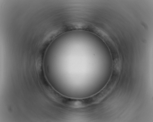 X0000114160509200910151609