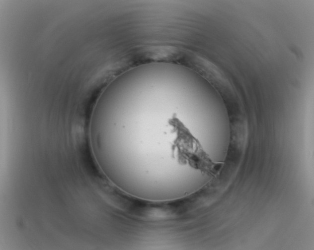 X0000114160510200910151609