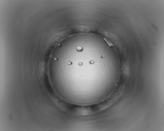 X0000114160511200910151609