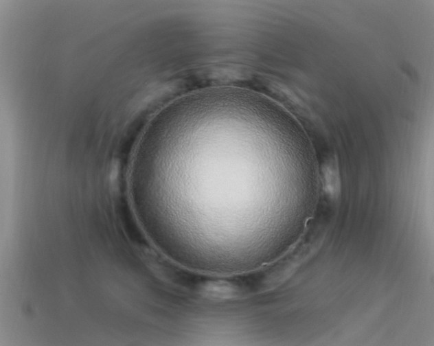 X0000114160519200910151609