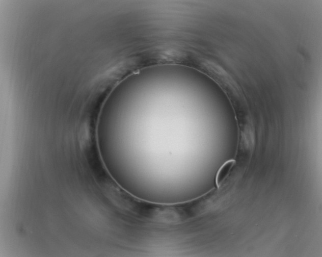 X0000114160520200910151609