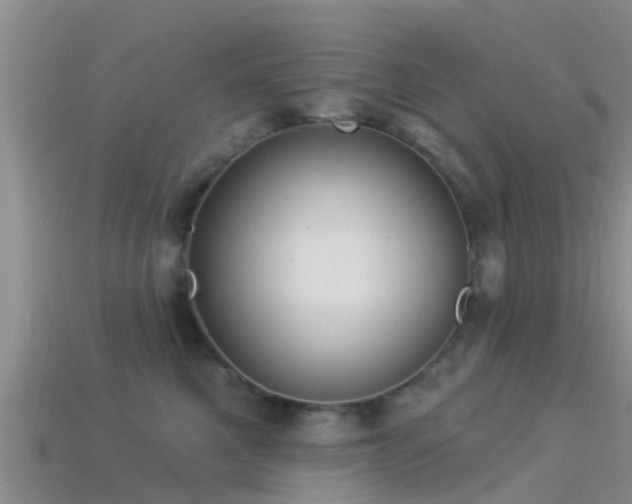 X0000114160521200910151609