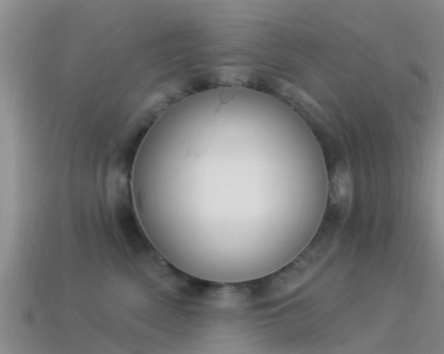 X0000114160522200910151609