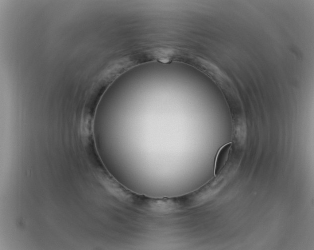 X0000114160525200910151609