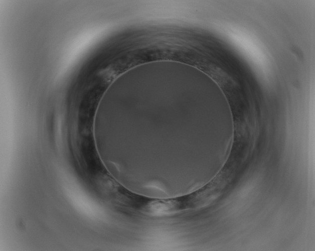 X0000114160526200910151609