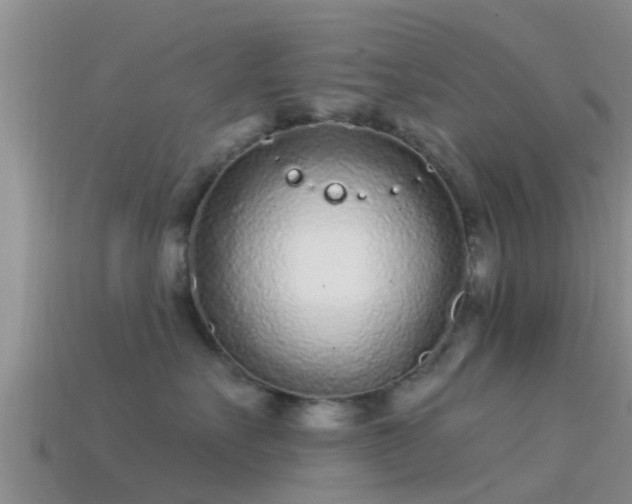 X0000114160527200910151609