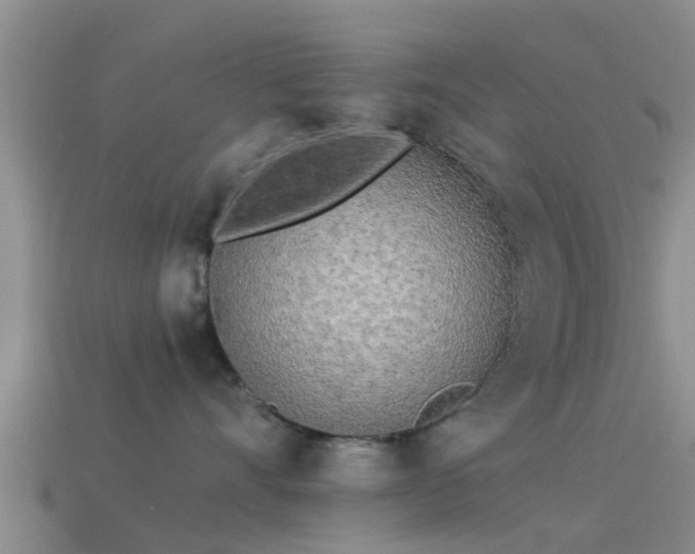 X0000114160528200910151609