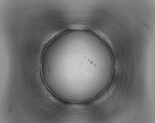 X0000114160529200910151608