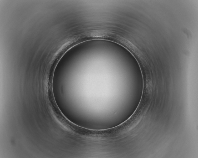 X0000114160530200910151608