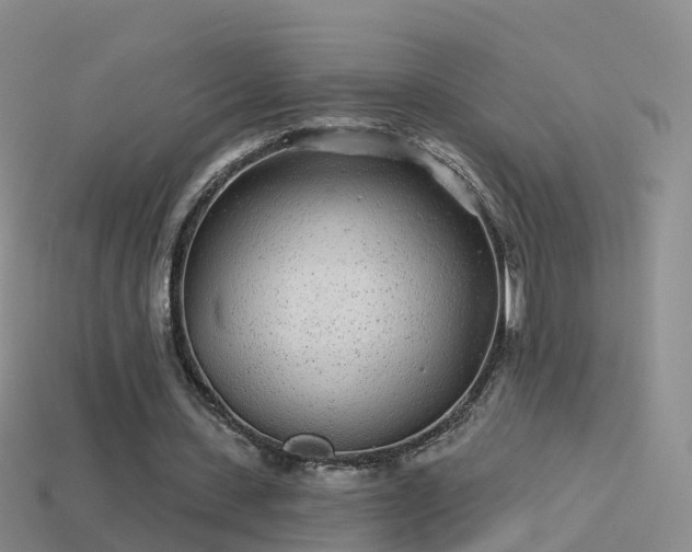 X0000114160531200910151608