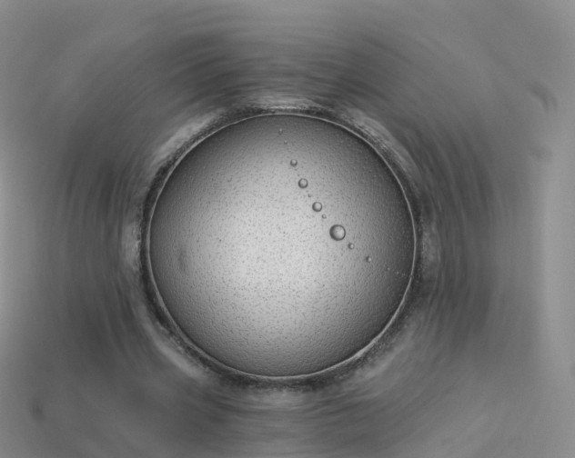 X0000114160533200910151608