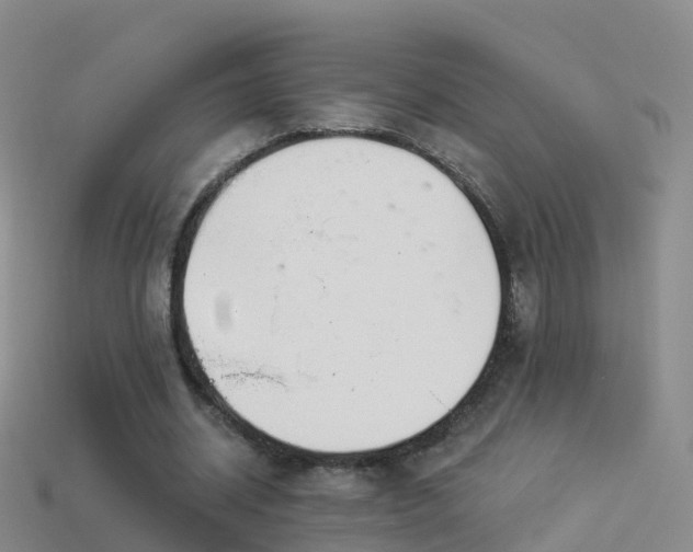 X0000114160534200910151608