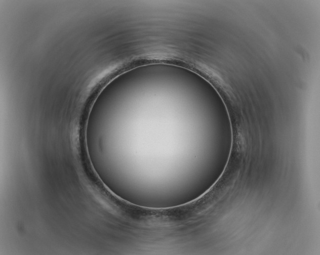 X0000114160535200910151608