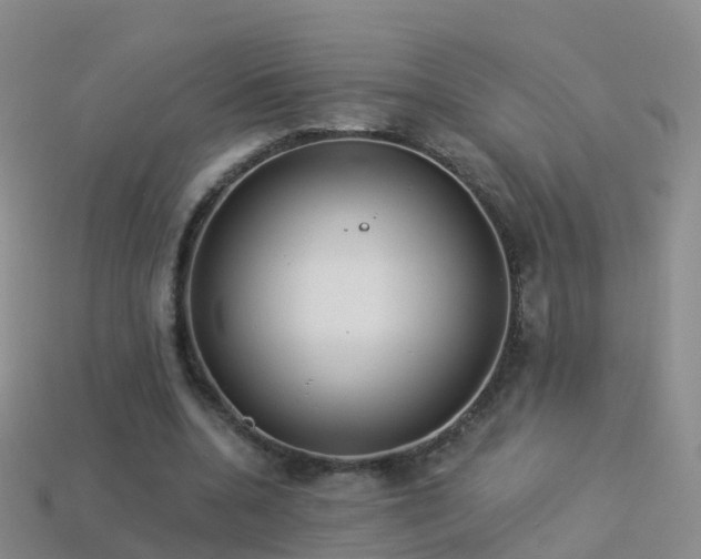 X0000114160536200910151608