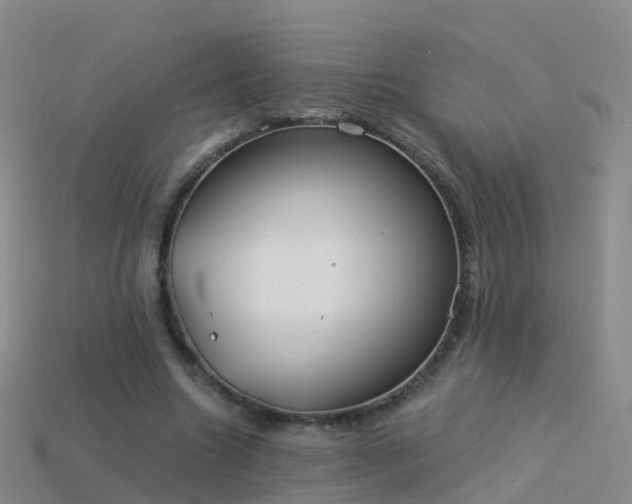 X0000114160538200910151608