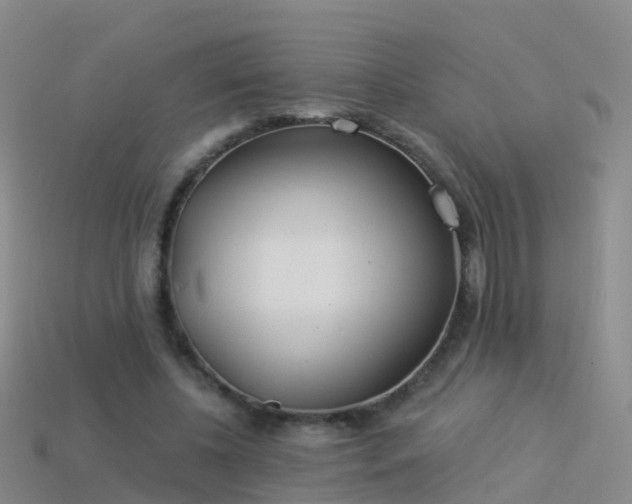 X0000114160540200910151608