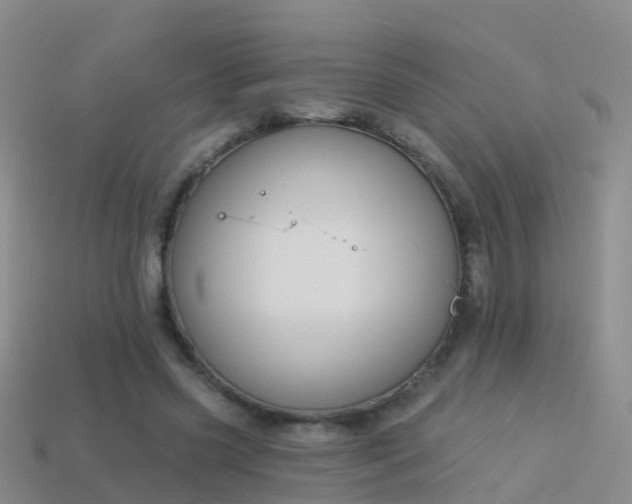 X0000114160541200910151608