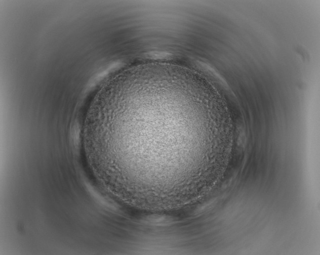 X0000114160542200910151608