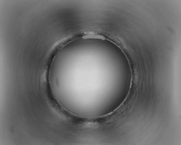 X0000114160543200910151609