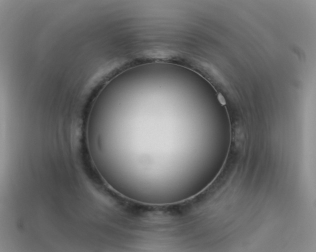 X0000114160544200910151609