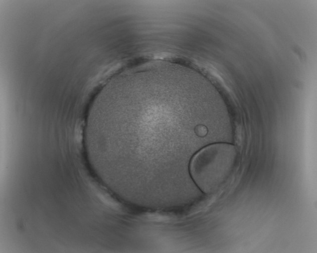 X0000114160545200910151609