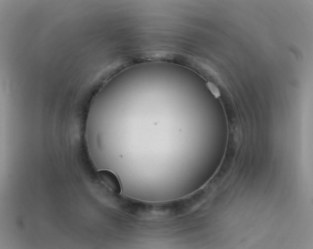 X0000114160546200910151609