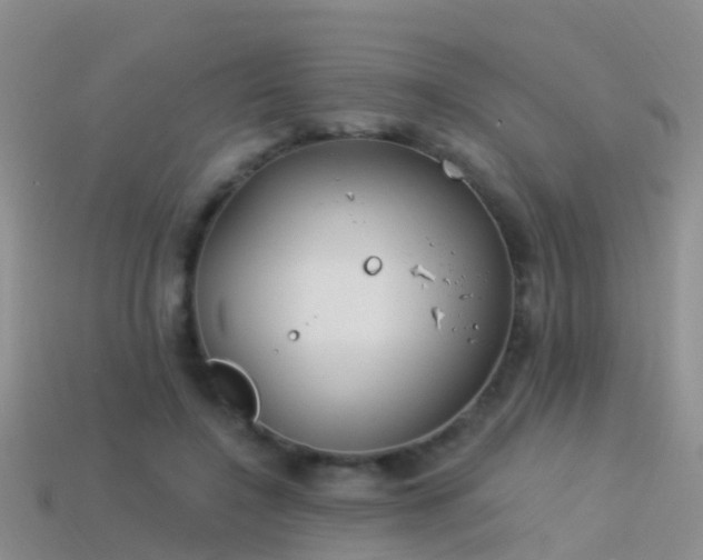 X0000114160548200910151609