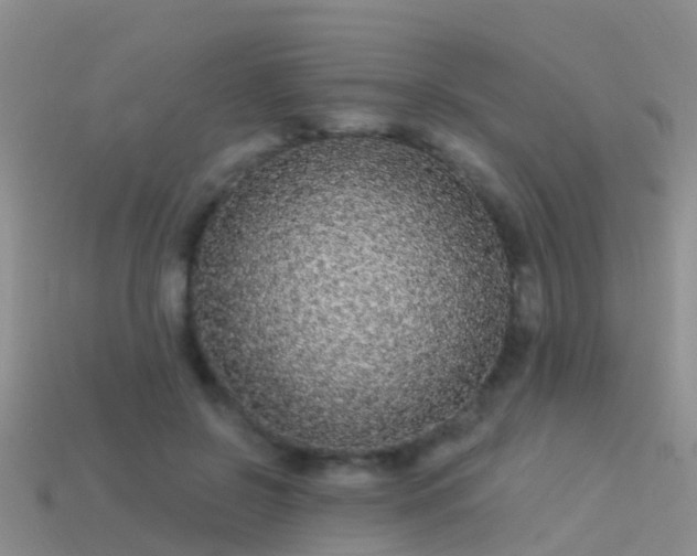 X0000114160550200910151609