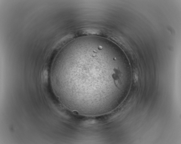 X0000114160551200910151609