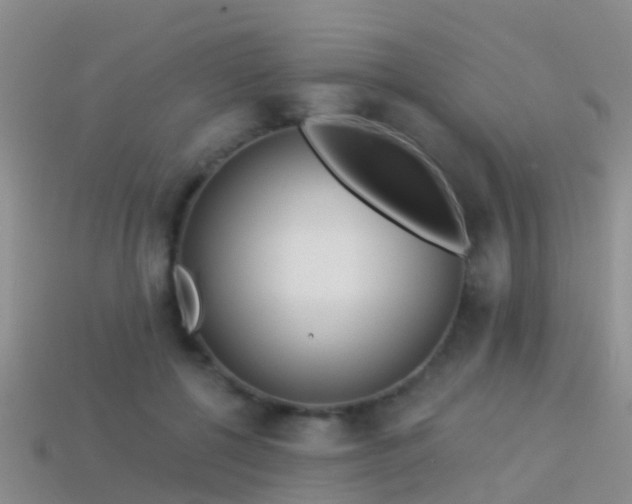 X0000114160552200910151609