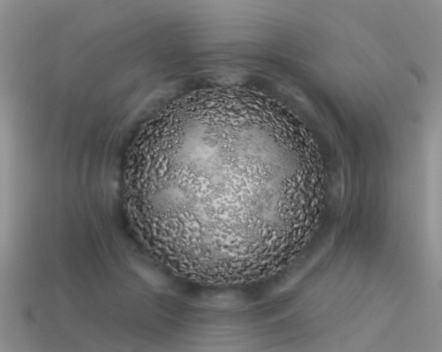 X0000114160553200910151609