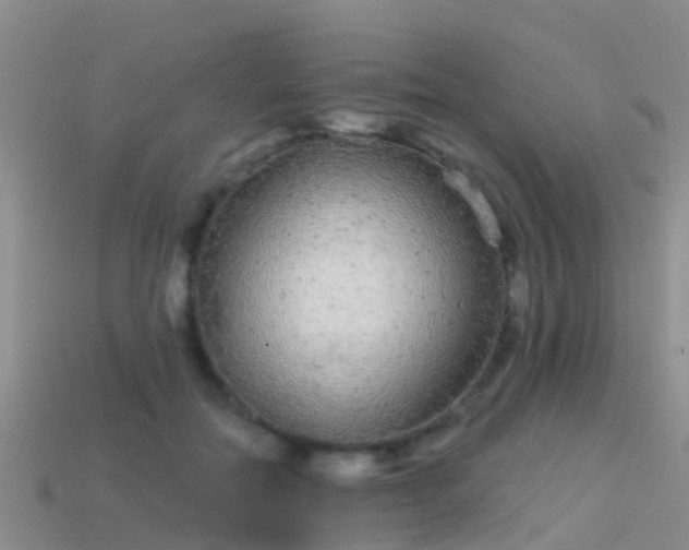 X0000114160554200910151609